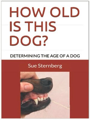 cover image of How Old Is This Dog?